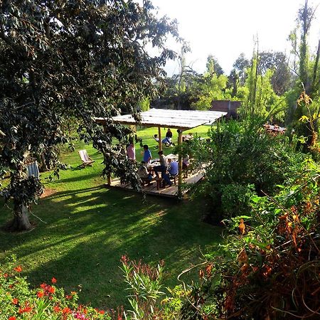 La Casa Del Tilo Bed & Breakfast Hacienda Santa Rosa ภายนอก รูปภาพ