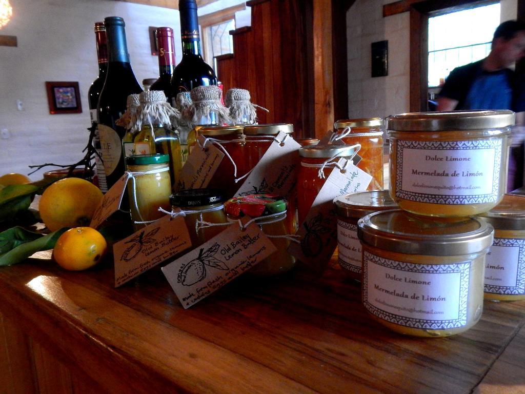 La Casa Del Tilo Bed & Breakfast Hacienda Santa Rosa ภายนอก รูปภาพ