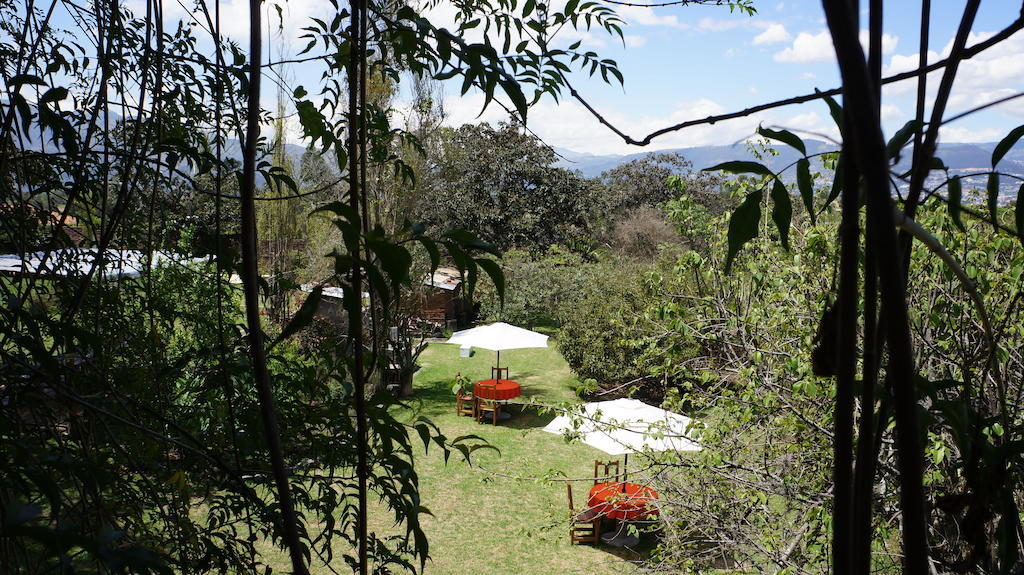 La Casa Del Tilo Bed & Breakfast Hacienda Santa Rosa ภายนอก รูปภาพ