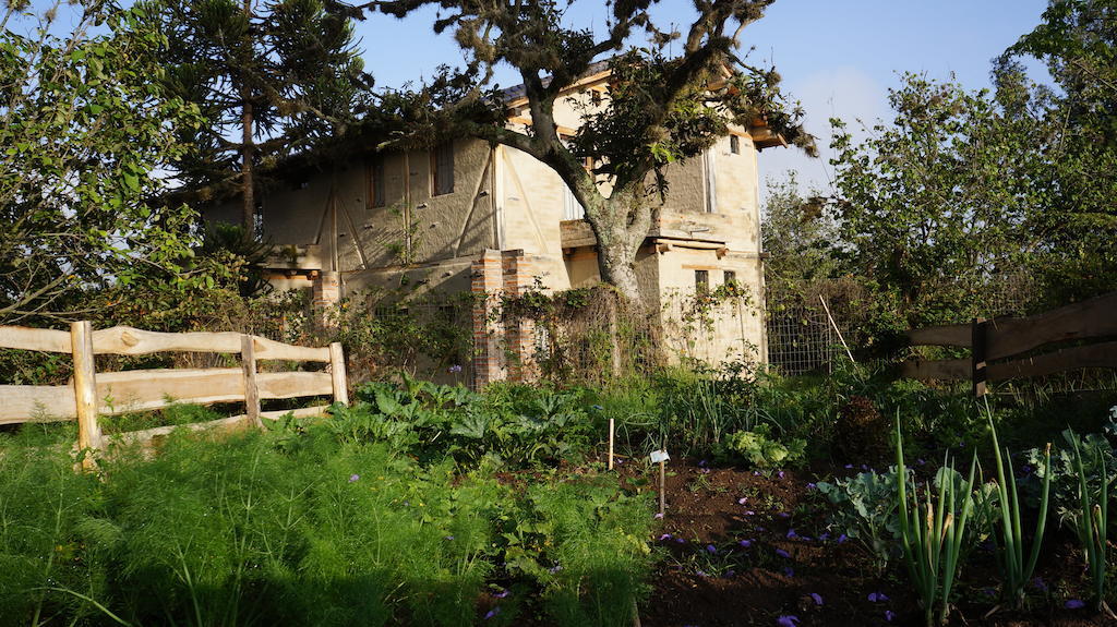 La Casa Del Tilo Bed & Breakfast Hacienda Santa Rosa ภายนอก รูปภาพ